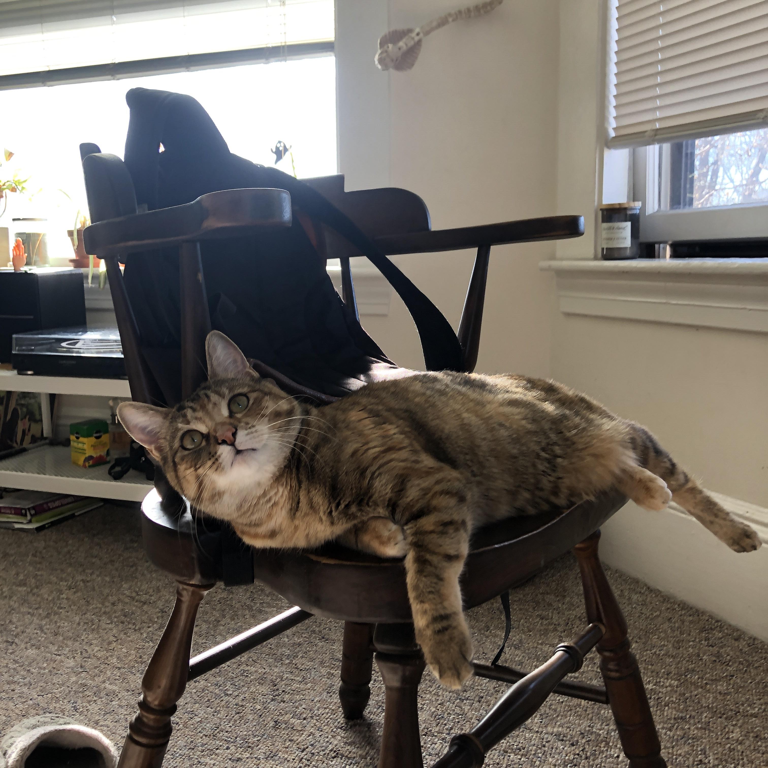 绝杀!红牛闪电撕裂银箭梦魇—塞恩斯神级策略主导惊天逆转 从战术博弈到最后一圈反杀,红牛如何用一场不可能胜利重写赛道规则?