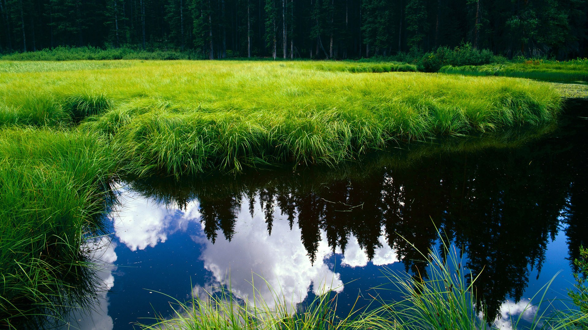伊斯坦布尔的沸腾雪夜,奥亚尔萨瓦尔三记耳光扇醒欧洲足球旧秩序