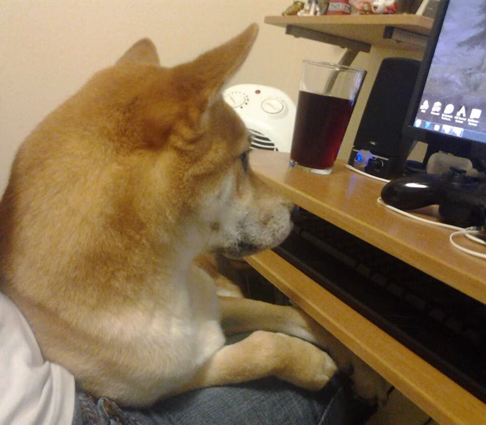 霍勒迪攻防封神，黄蜂灼伤火箭创横扫佳话