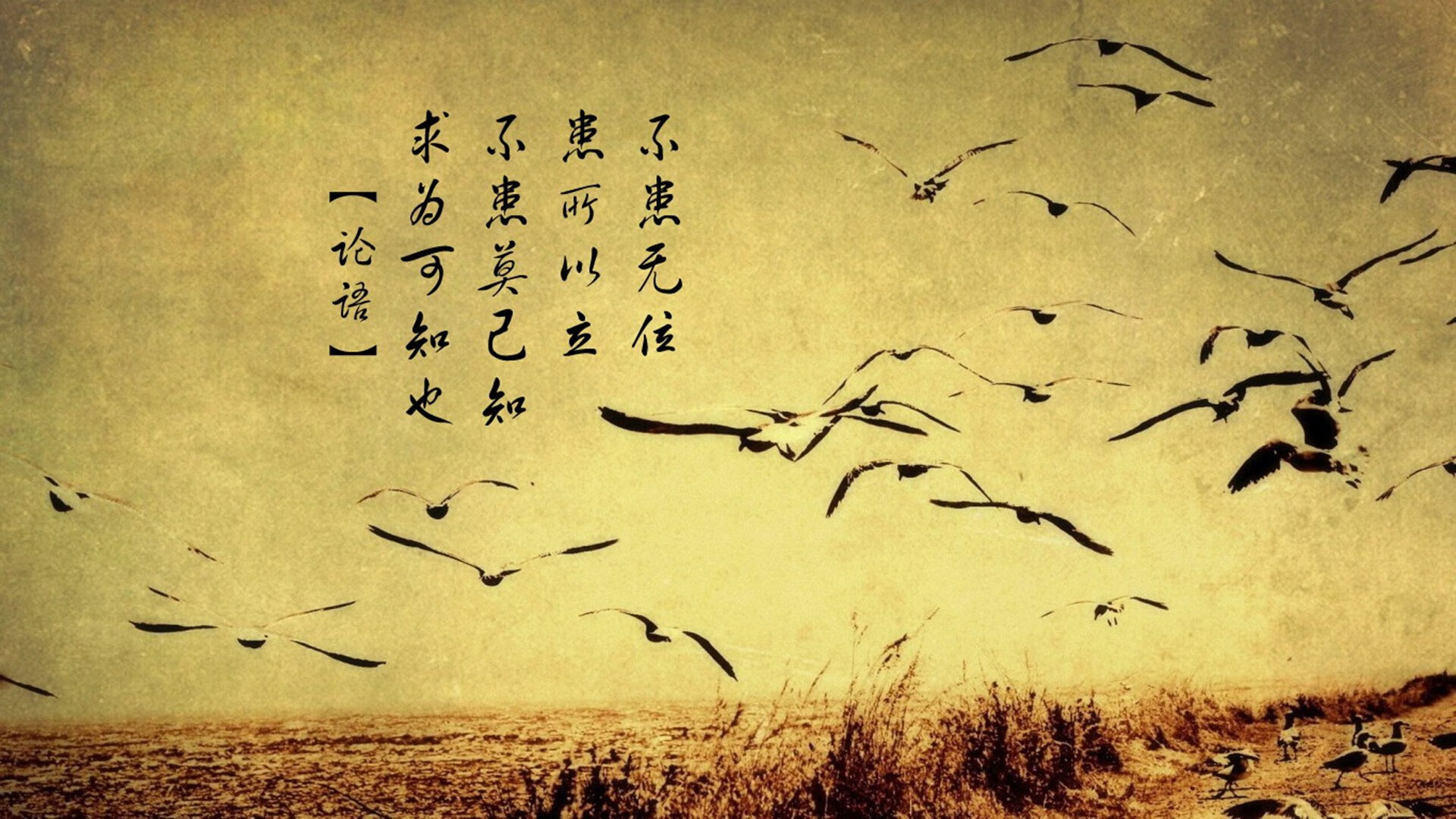 血拼深圳,接管欧冠,篮球场上的意志之战