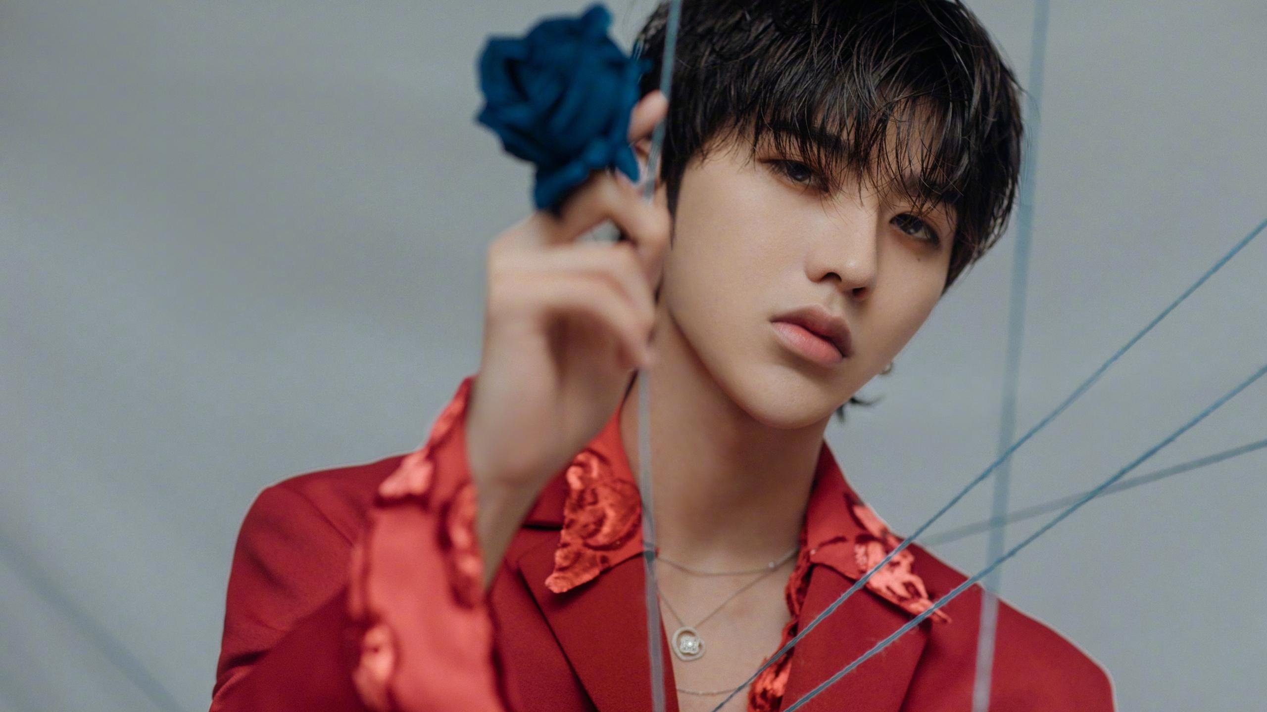 沙漠之狐终结文艺复兴之梦，弗拉霍维奇，开罗夜空下的关键先生