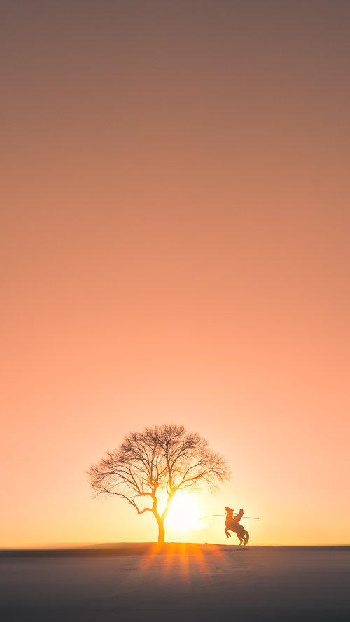 无声惊雷与窒息攻防，哈利伯顿的爆发与奇才战术的胜利解析