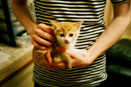 铁幕降临！欧冠决赛夜的隐形主宰，布伦森的压制级表演如何改写历史