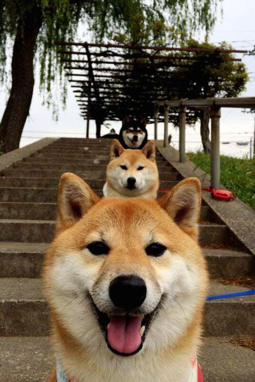 跨界对决,AC米兰迎战克罗地亚,格列兹曼成关键先生