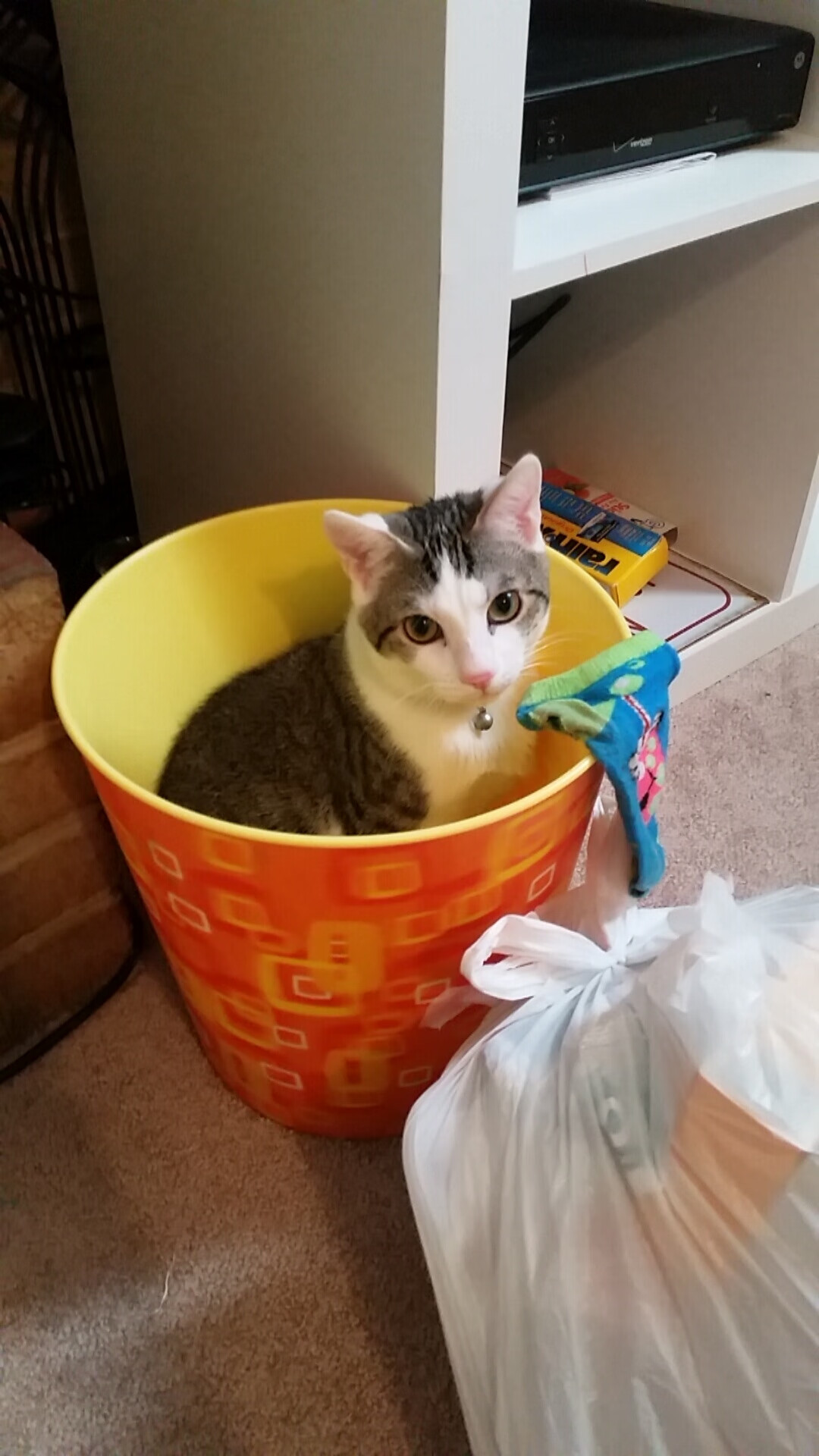 文班亚马对阵火箭的震撼表演,重新定义现代篮球教科书