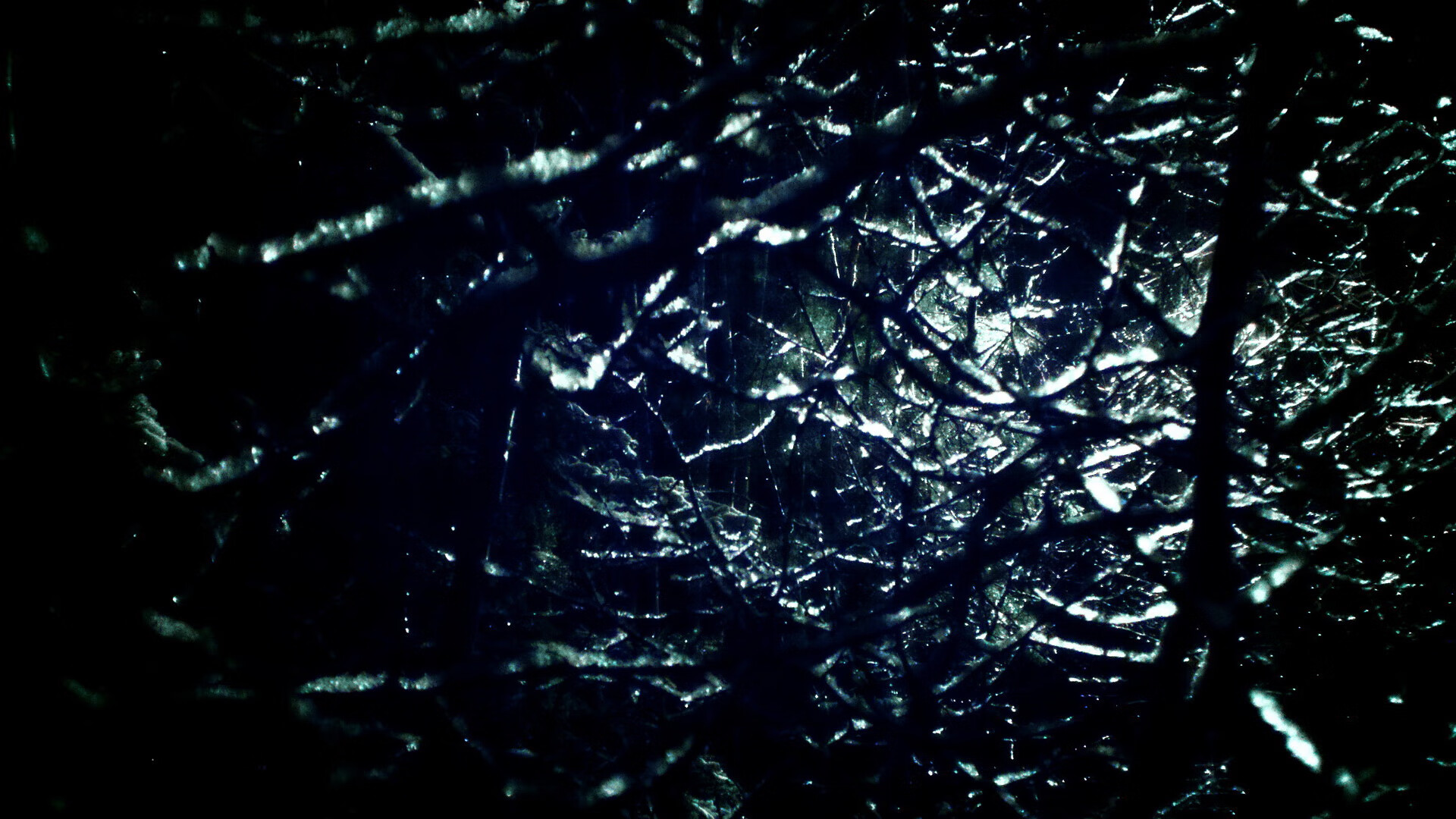 2026世界杯之夜，终场哨未响，西亚卡姆已让悬念在开场时死去