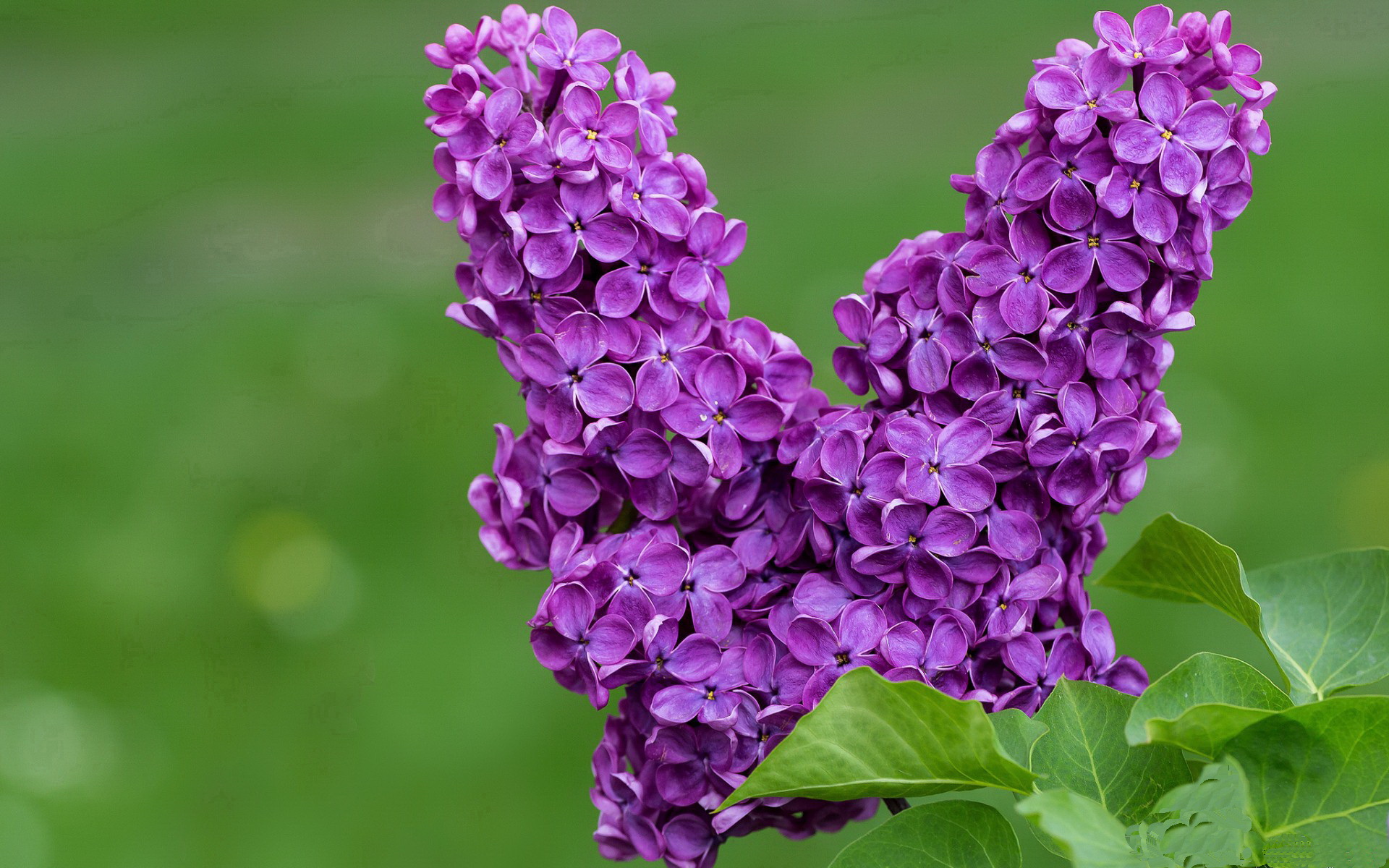 希腊正面击溃贝蒂斯，贝林厄姆2026世界杯接管比赛的序章