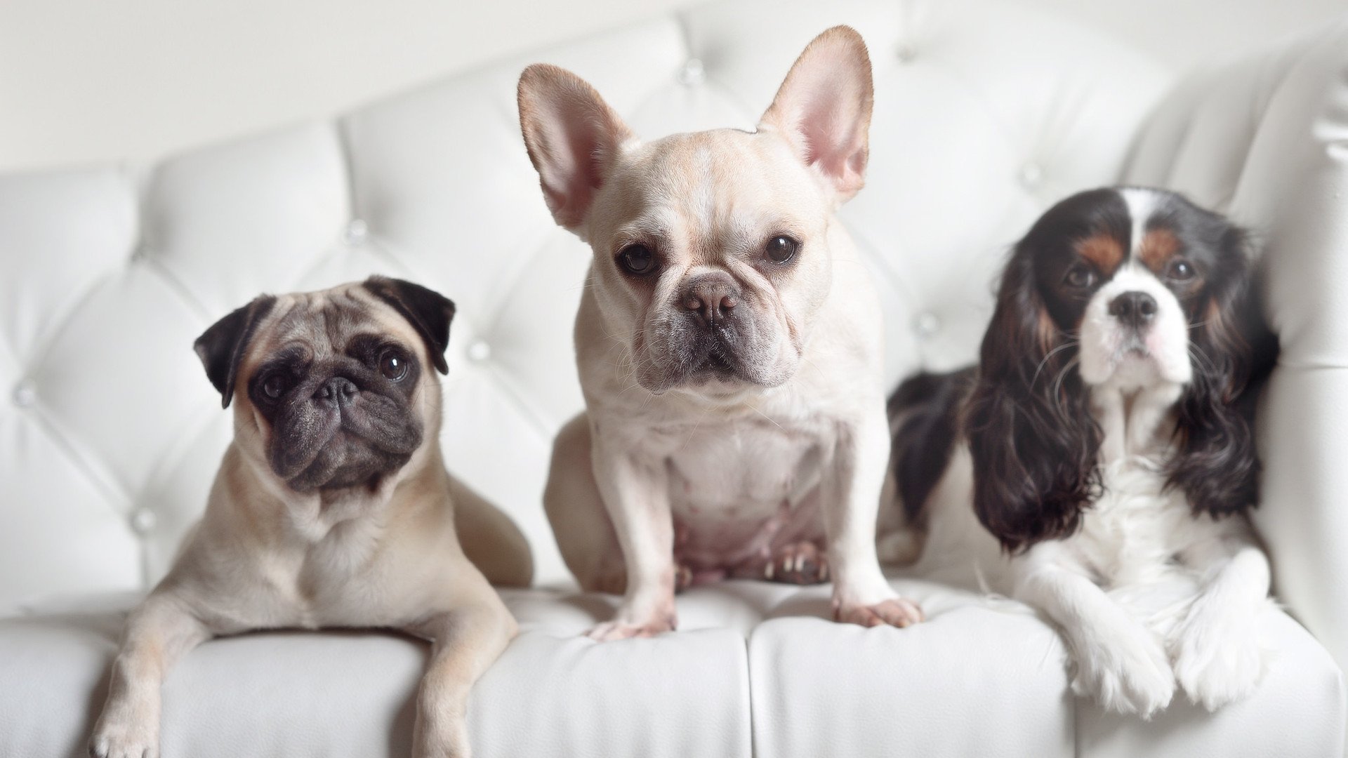 火与冰，快船踏平火箭之夜，哈利伯顿的关键冷静