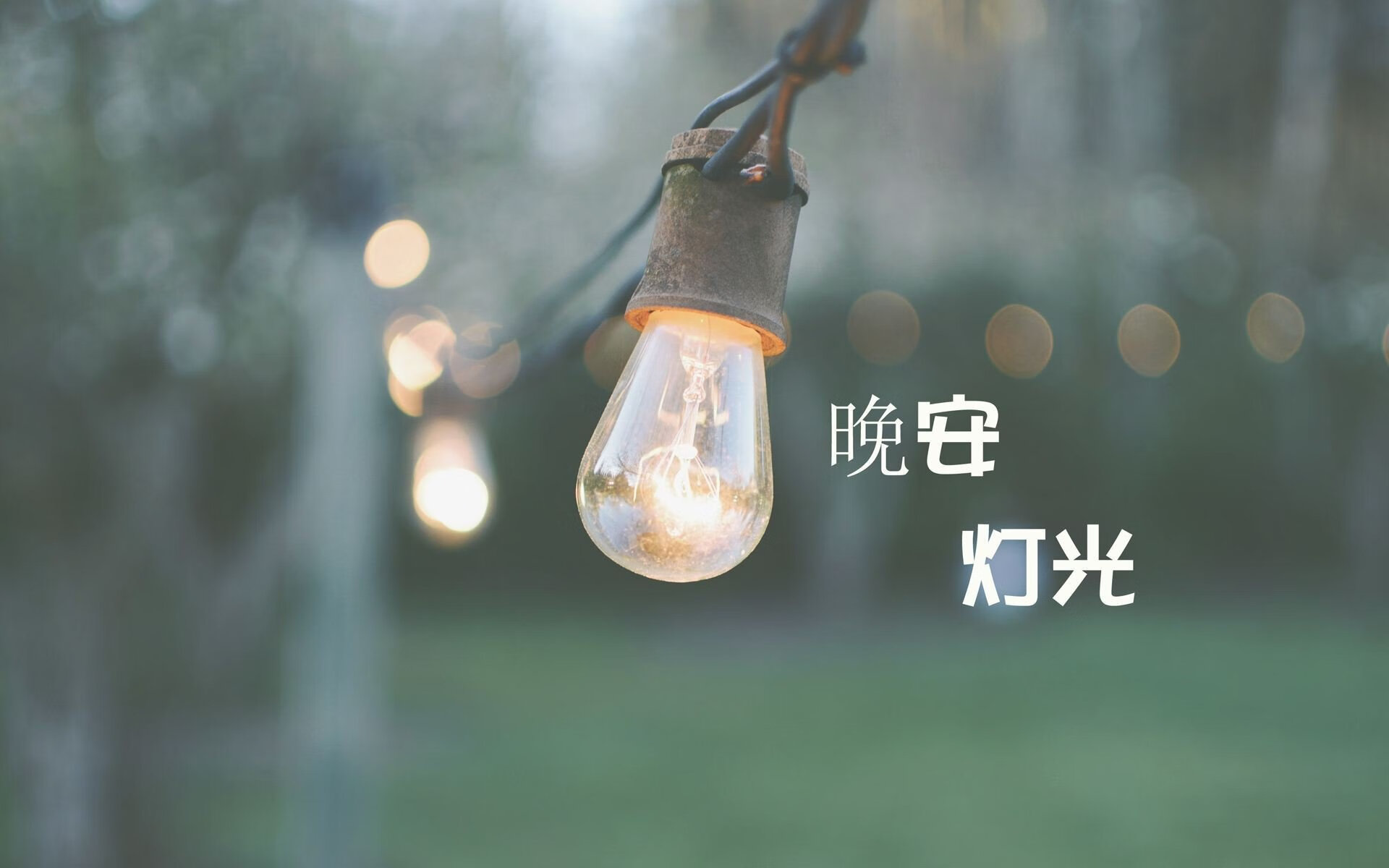 逆转之夜,2026世界杯C组生死战,匈牙利绝地反击掀翻德国战车,孙兴慜独造三球封神