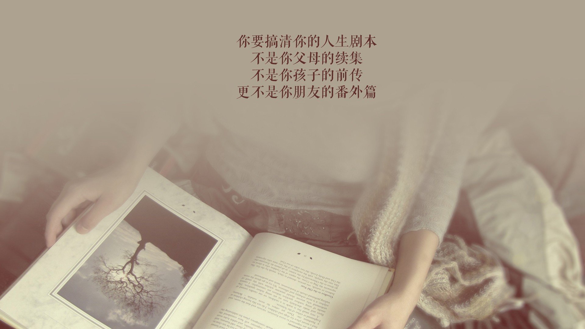 这是一篇为您定制的文章，结合了您提供的所有关键词，2026世界杯C组、德国大胜喀麦隆、托纳利完成致命一击