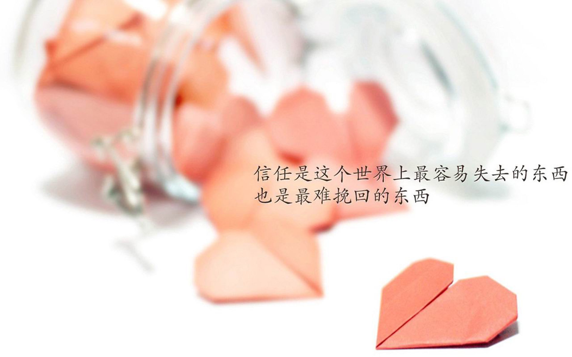 绝境突围,乌兹别克斯坦的2026世界杯出线战,哈基米导演的沙漠风暴